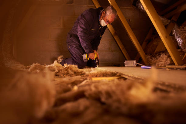 Best Basement Insulation  in Staten Island, NY